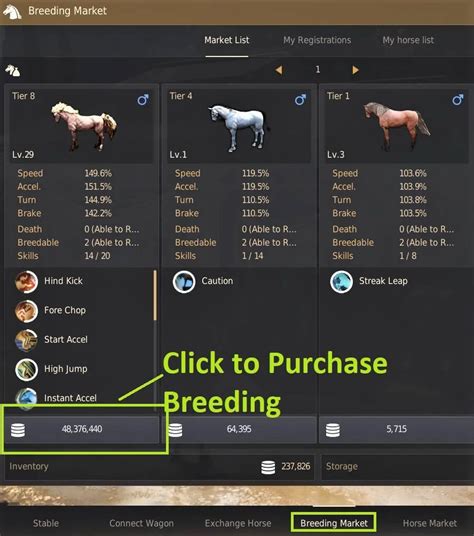 bdo how to breed horses|BDO Horse Breeding & Exchange: How to Gain Tiers .